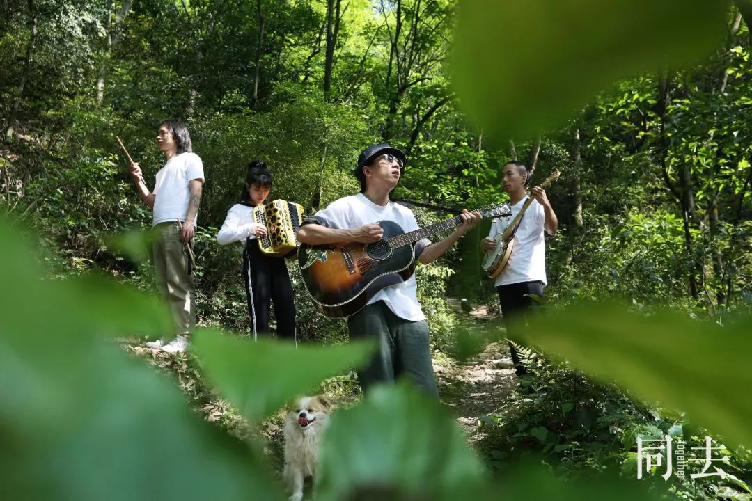 岳麓山中的森林音乐会,找药寻路上山,聆听春天的声音