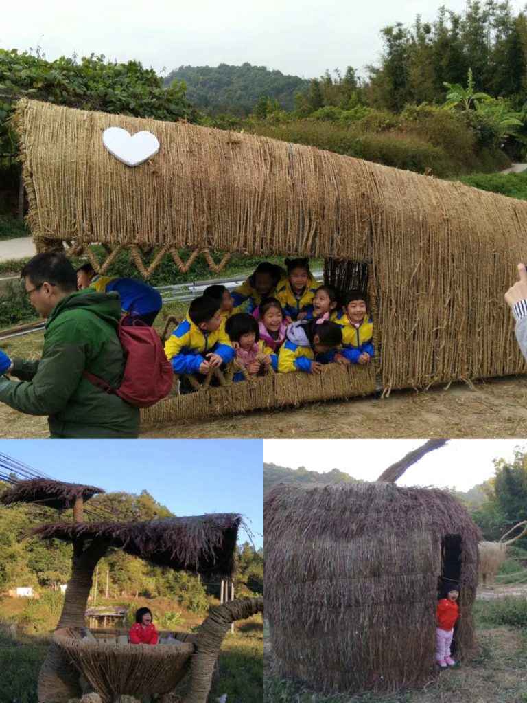 活动聚 -从化耕山小寨秋收一日活动