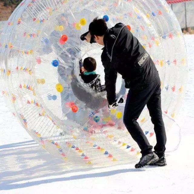 【小海豚快乐体验营】1月31日假日绿岛冰雪嘉年华