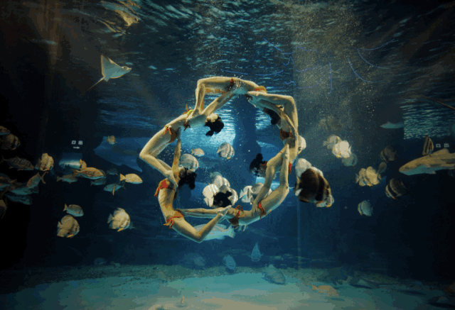 人鱼公主的故事 在这里成为现实 水中芭蕾更是极具精彩,热辣动感 在