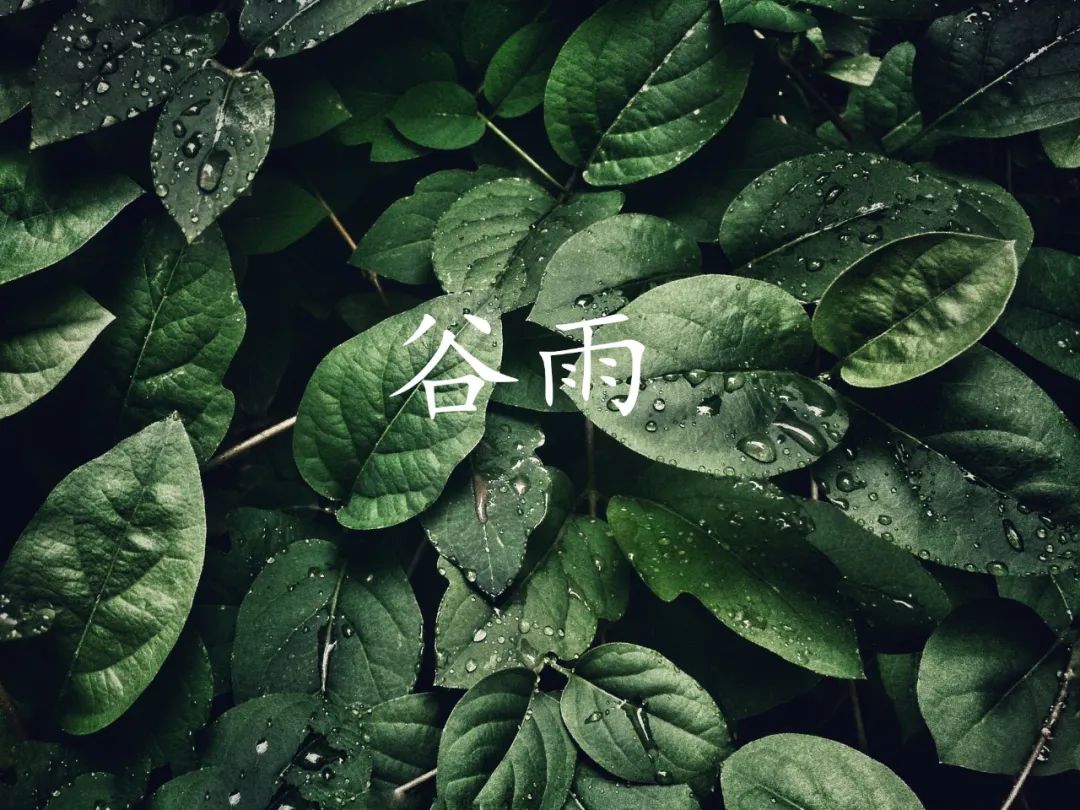 鸟哥笔记,营销推广,广告文案风暴,谷雨,热点,文案