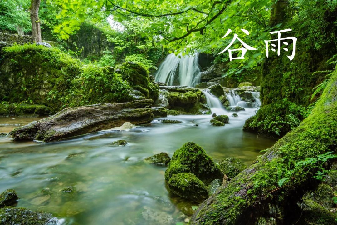 鸟哥笔记,营销推广,广告文案风暴,谷雨,热点,文案