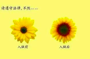 鸟哥笔记,营销推广,文案包邮,营销洞察,文案,创意