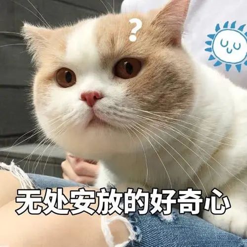 鸟哥笔记,营销推广,何杨,技巧,策略,文案