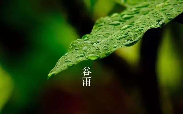 鸟哥笔记,营销推广,广告文案风暴,谷雨,热点,文案