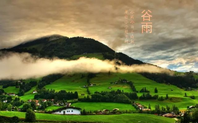 鸟哥笔记,营销推广,广告文案风暴,谷雨,热点,文案