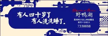 鸟哥笔记,营销推广,文案包邮,营销洞察,文案,创意