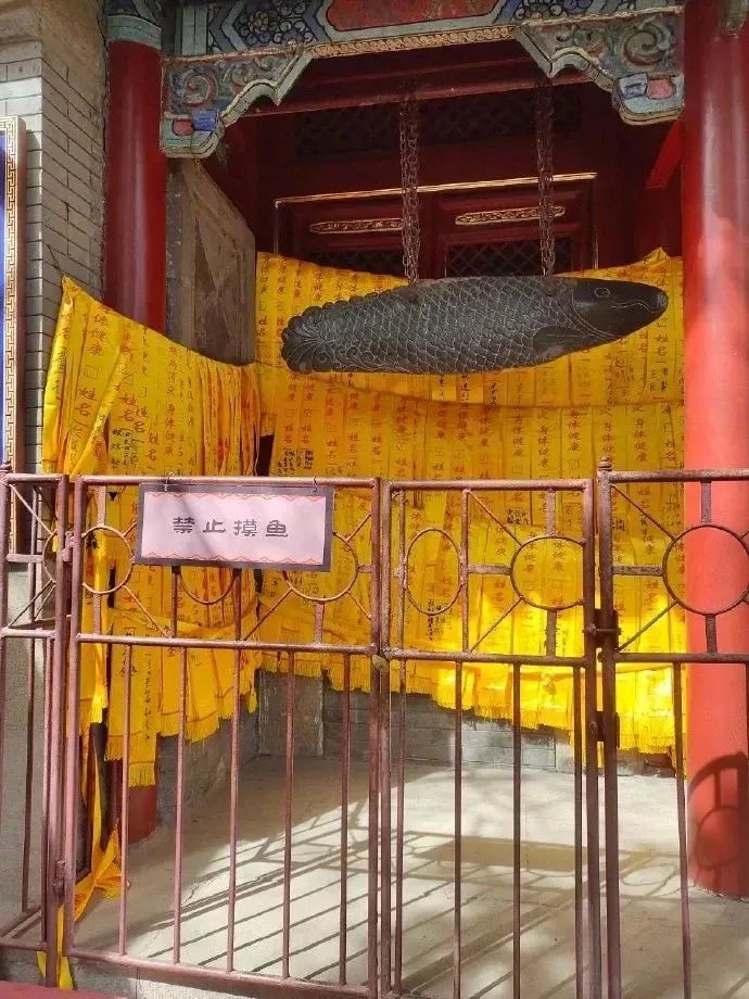 鸟哥笔记,广告文案,文案君,创意,文案