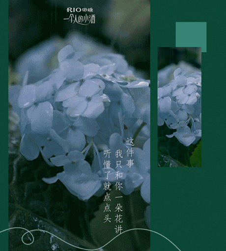 鸟哥笔记,广告文案,文案君,创意,文案