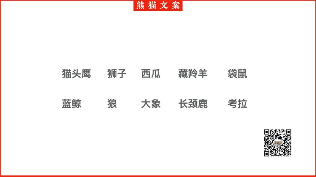 鸟哥笔记,广告文案,熊猫文案,品牌文案,创意,文案