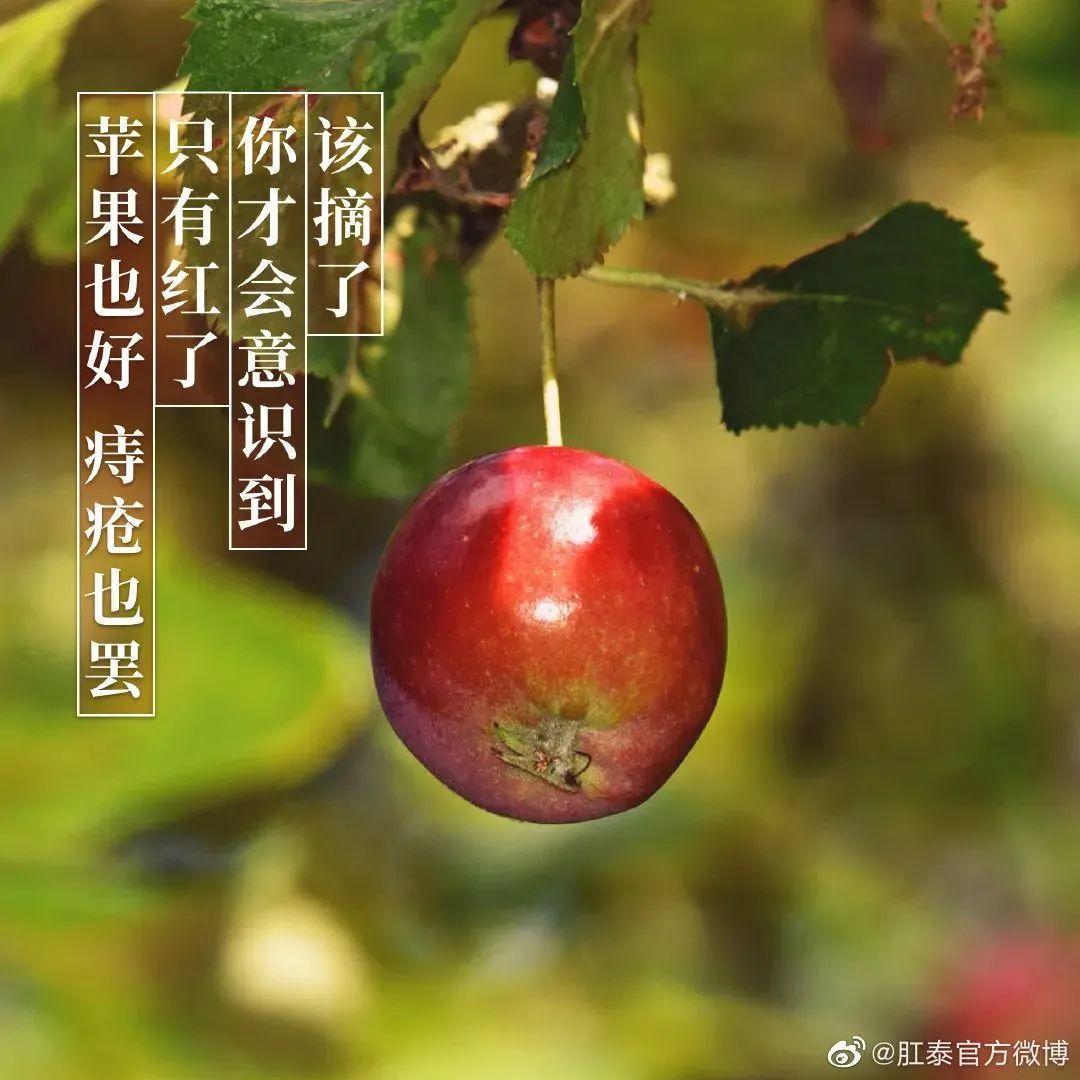 鸟哥笔记,广告文案,文案君,创意,文案