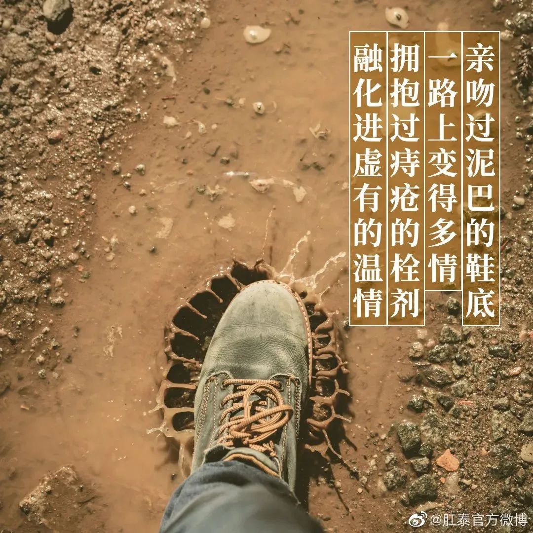 鸟哥笔记,广告文案,文案君,创意,文案