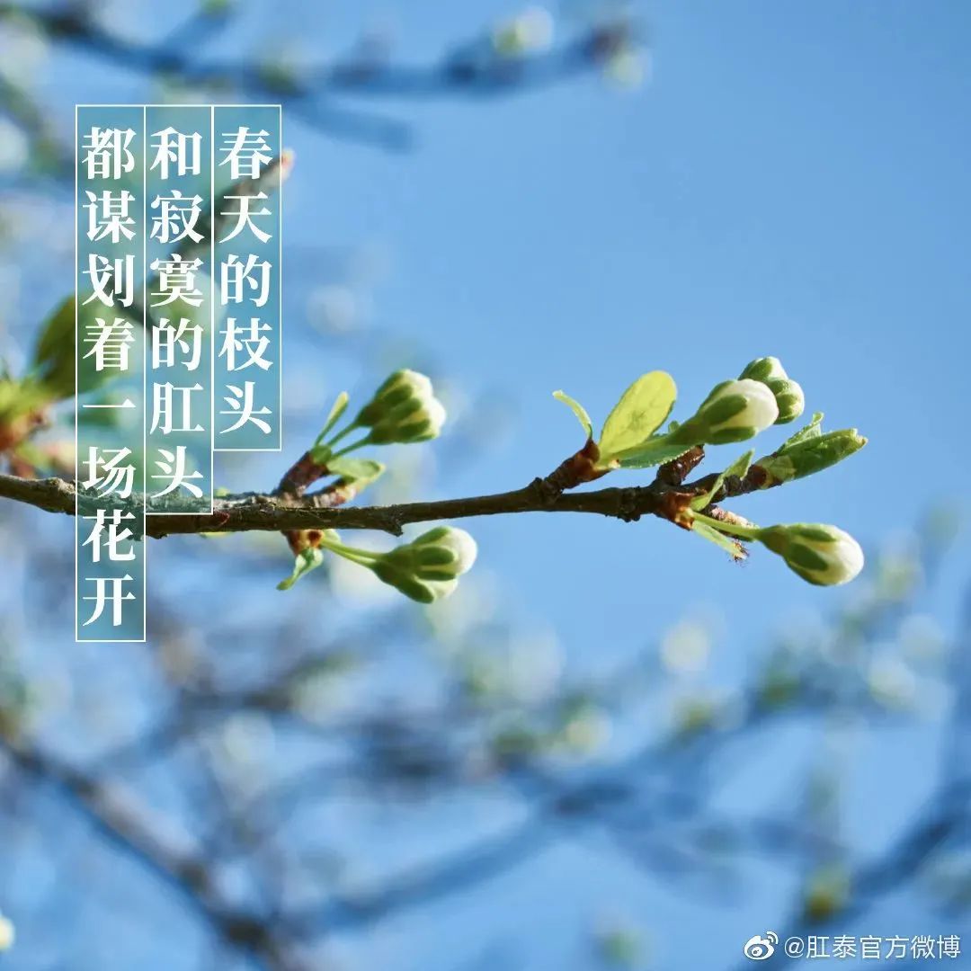 鸟哥笔记,广告文案,文案君,创意,文案