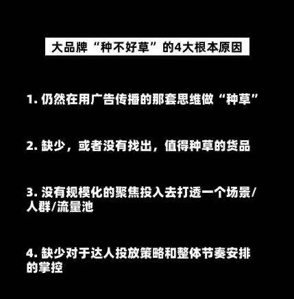 鸟哥笔记,广告营销策略,普浪呢,品牌策略,品牌营销 鸟哥笔记,广告营销策略,普浪呢,品牌策略,品牌营销