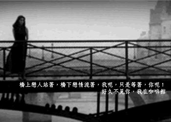鸟哥笔记,广告文案,文案怪谈,节日文案,文案风格,品牌文案,盘点