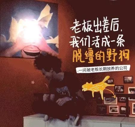 鸟哥笔记,广告文案,木木老贼,招聘文案,创意,文案,品牌,文案