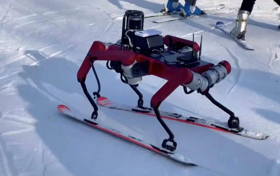 AI教练、机器人、氢能车、云速度：冬奥有多酷？