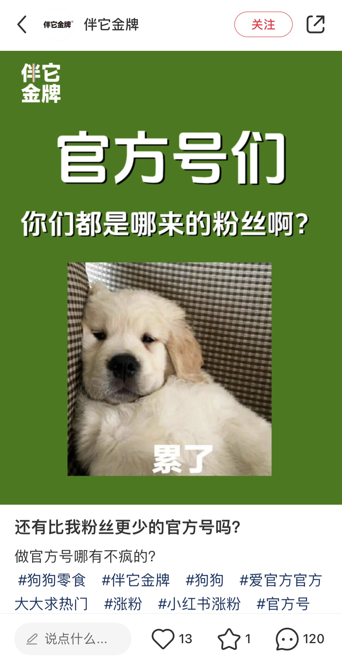 小红书；品牌官号