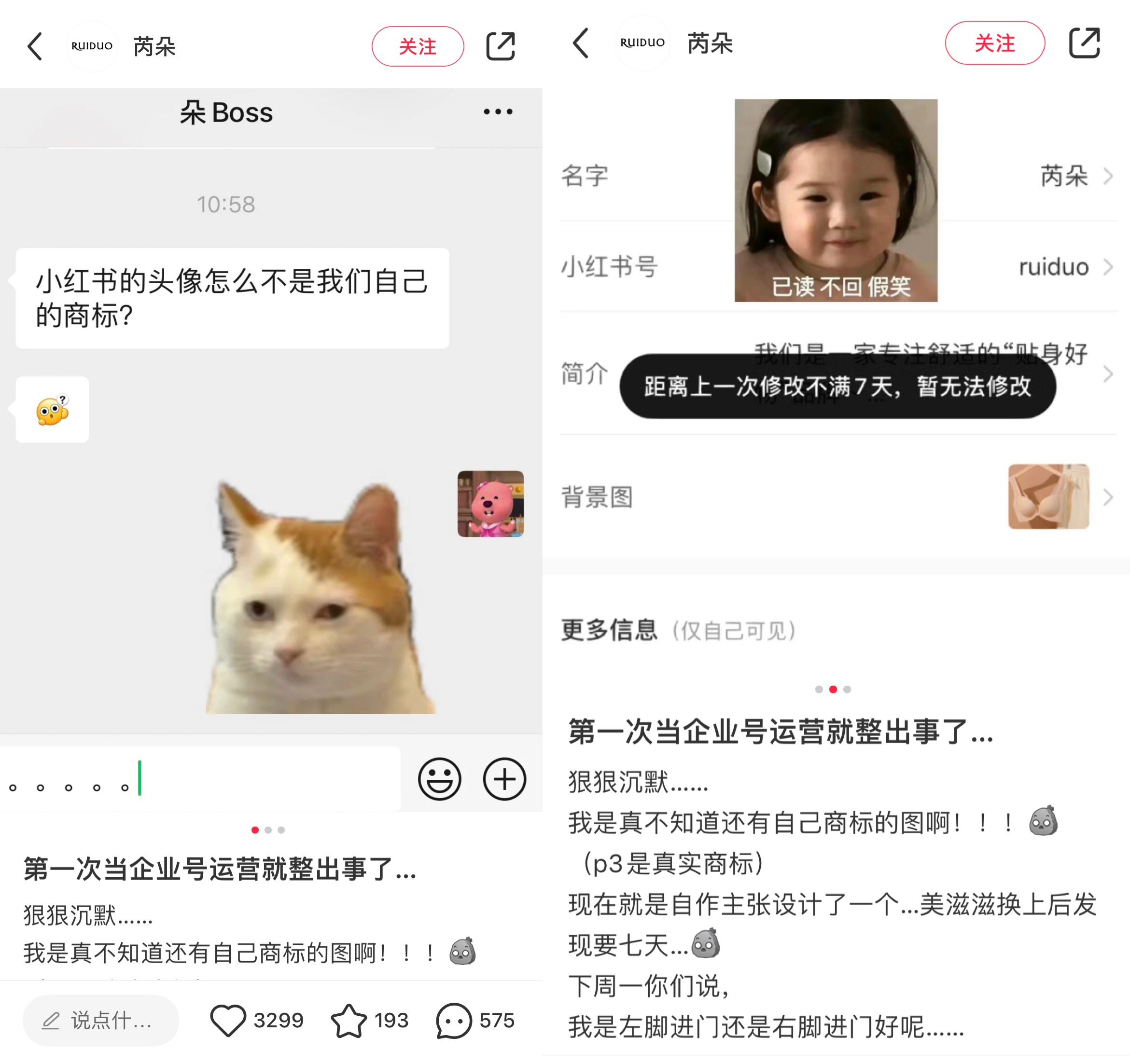 小红书；品牌官号