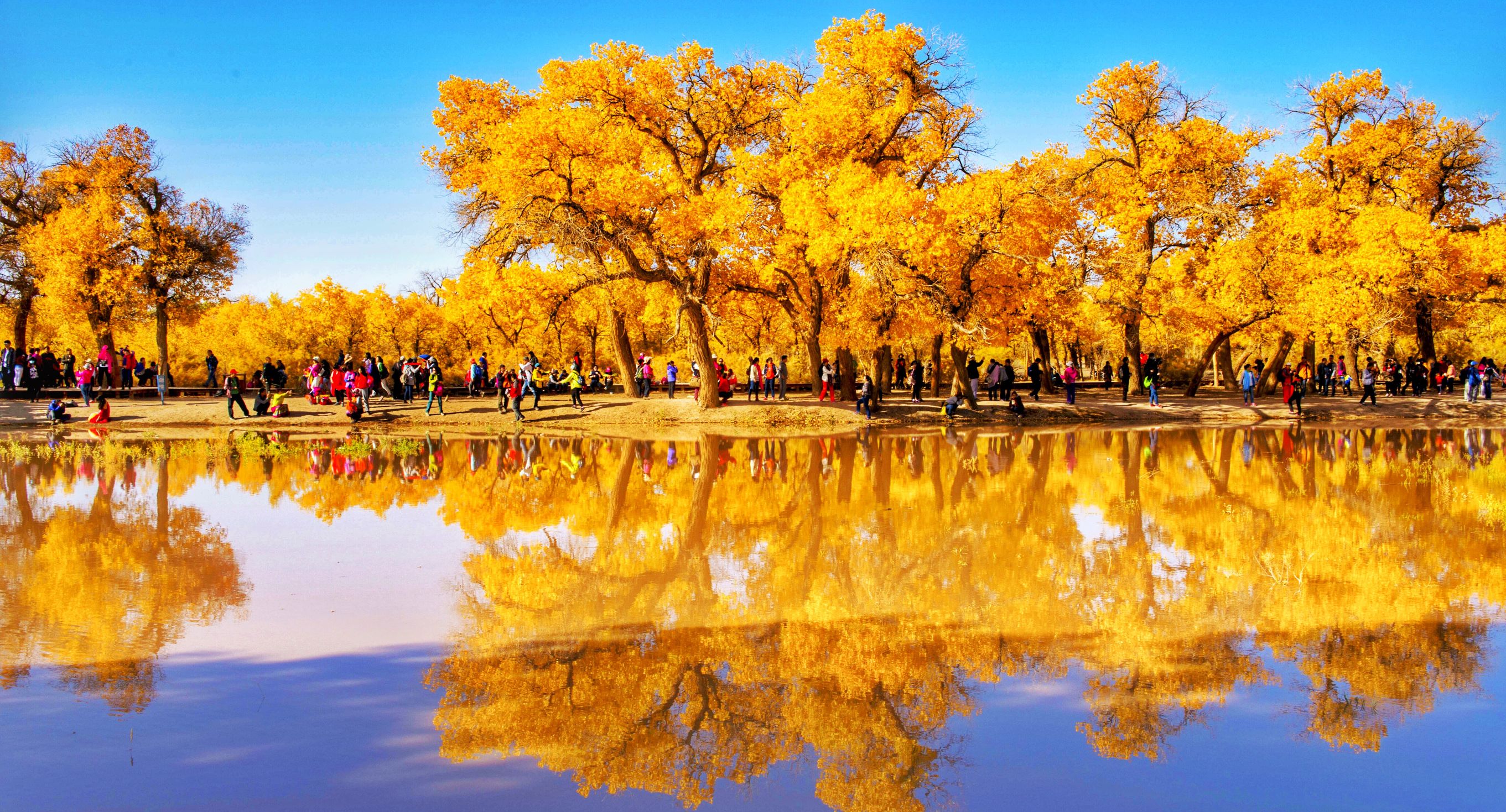 【山野旅行】十一国庆额济纳.胡杨林大美西北7日深度游
