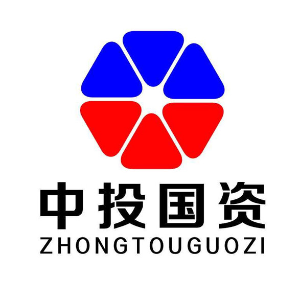 探寻华尔街投资家在投资什么财经说明会