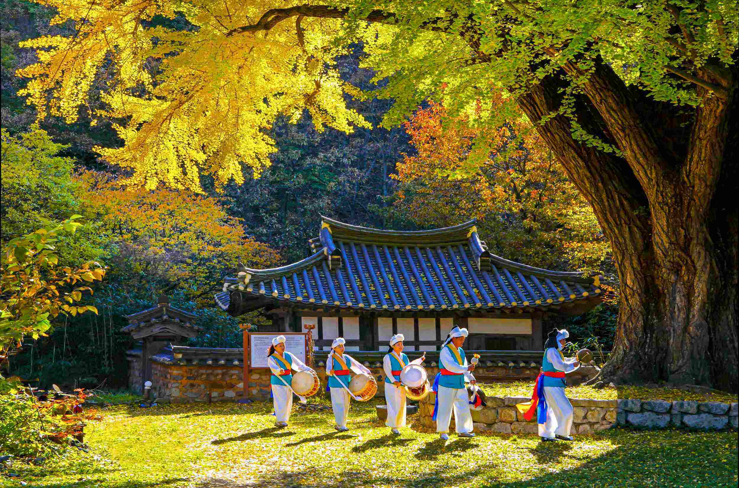 【主题分享会】 我眼中的韩国